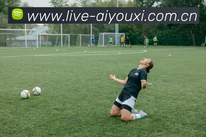 爱游戏品牌故事