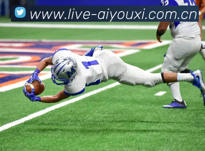 爱游戏服务体系